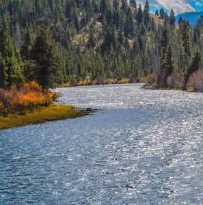 Meet your Posher, Brandy